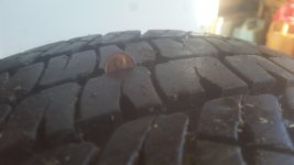 20160405_180355.jpg