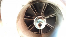 20160423_185531.jpg