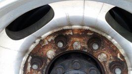 Flange Gasket.jpg