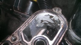 IMAG0131.jpg