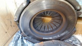 20160717_110042.jpg