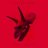 Phantom Limb