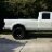 White Stallion