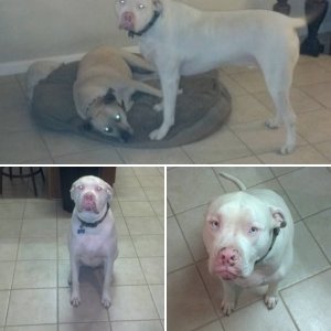 My killer babies lol