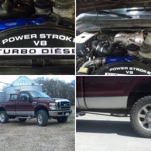 My strokers