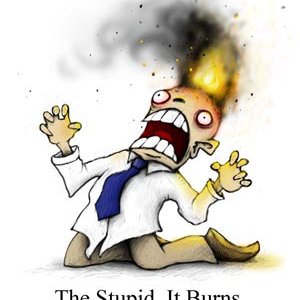 thestupiditburns