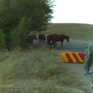 Kazakhstan