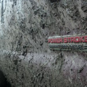 muddy_stroke