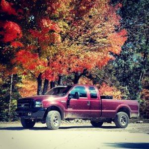 Fall_Pic