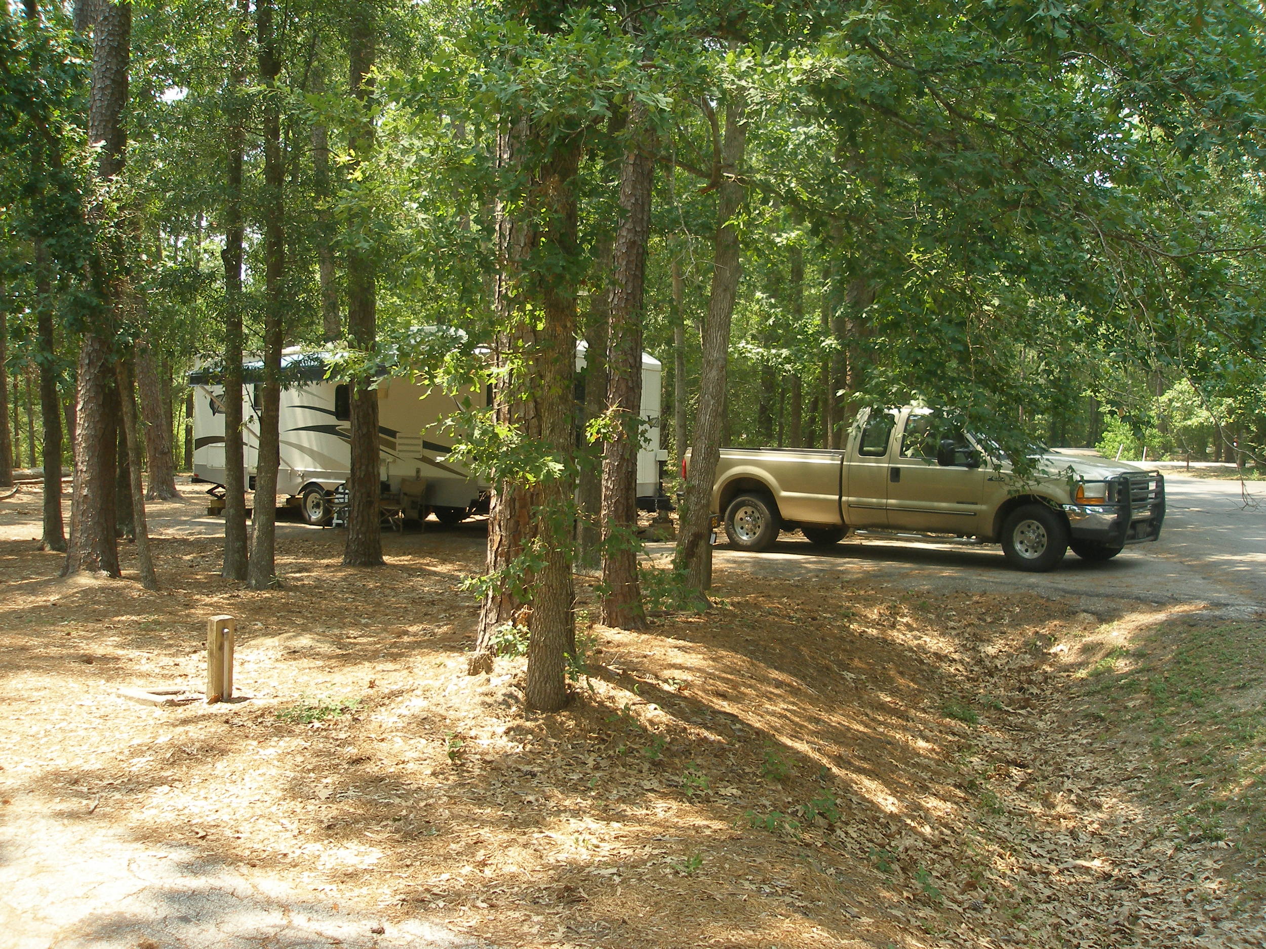 Camping Lake Livingston SP